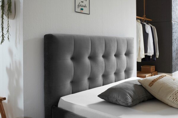 ČALÚNENÁ POSTEĽ, 180/200 cm, sivá Carryhome - Postele