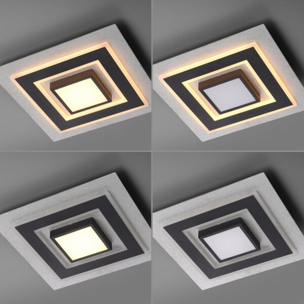 JUST LIGHT. 14439-21 - LED Stropné svietidlo CICHIO LED/18,5W/230V + LED/9W čierna