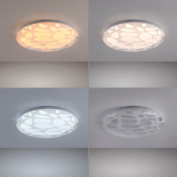 JUST LIGHT. 14009-16 - stmievateľné LED stropné svietidlo ART PLAFO LED/20W/230V biele + diaľkový ovládač