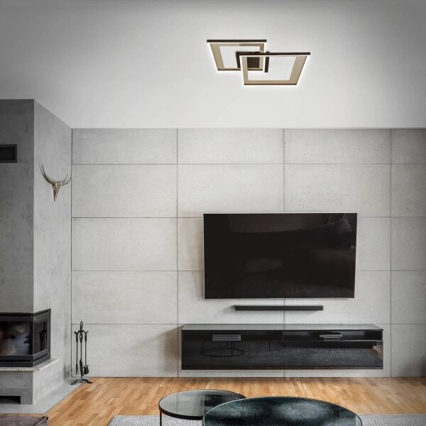Briloner 3567-017 -LED stmievateľné stropné svietidlo LED/25W/230V 3000-6500K 56,8x48cm+DO
