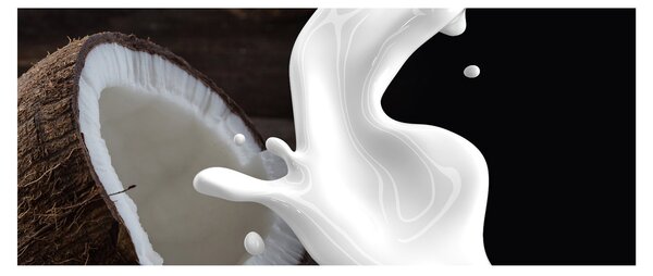 Obraz - kokosové mlieko (120x50 cm)