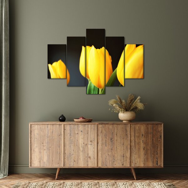 Obraz tulipánov (150x105 cm)