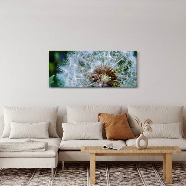 Obraz odkvitnutej púpavy (120x50 cm)