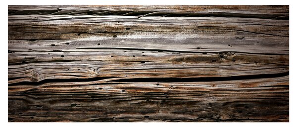 Obraz - sezónne drevo (120x50 cm)
