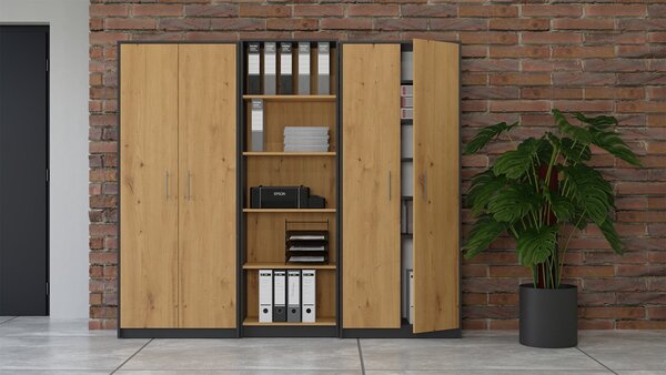 TP Living Knižnica OLIV 2D antracit/dub artisan