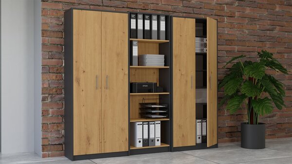 TP Living Knižnica OLIV 2D antracit/dub artisan