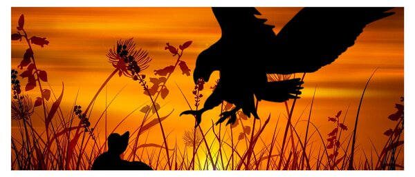 Obraz siluety dravca (120x50 cm)