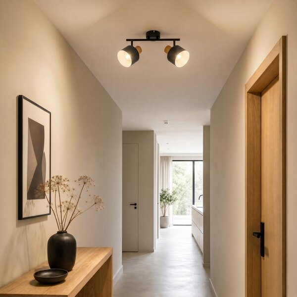 Stropné Lampa Lindby, Lenja, stmievateľné, Čierna, Obývacia izba, Kov, Moderný