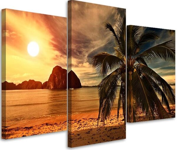 Obraz na plátne Tropická pláž - 3 dielny Rozmery: 60 x 40 cm