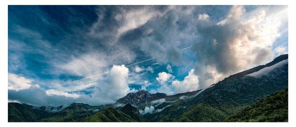 Obraz hôr (120x50 cm)