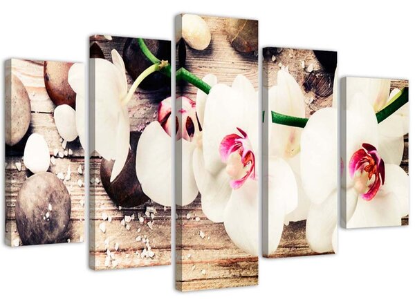 Obraz na plátne Biela orchidea a kamene - 5 dielny Rozmery: 100 x 70 cm