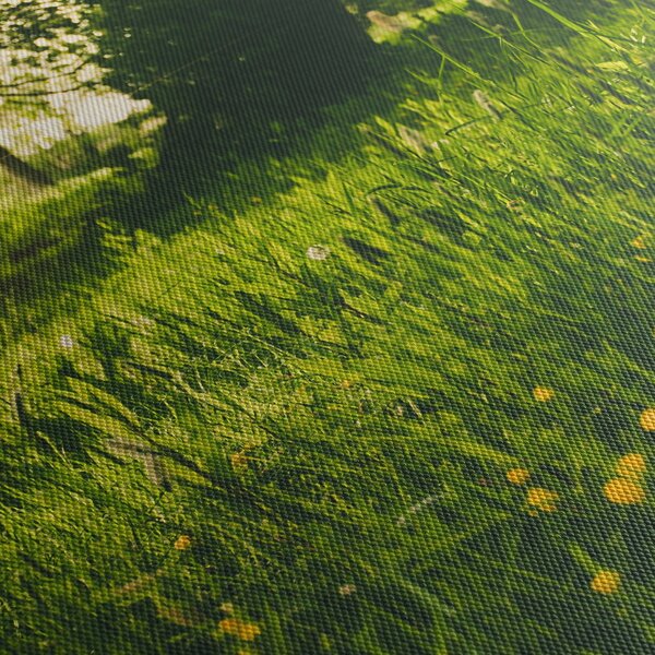 Obraz prírody - lúka (150x105 cm)