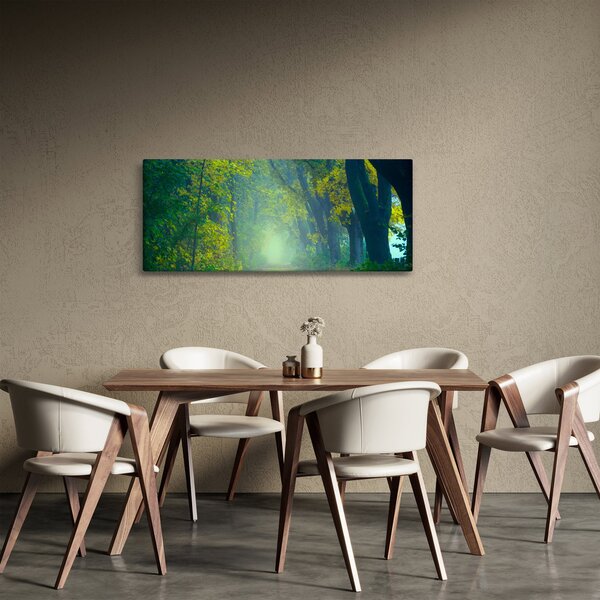 Obraz cesty lemovanej stromami (120x50 cm)