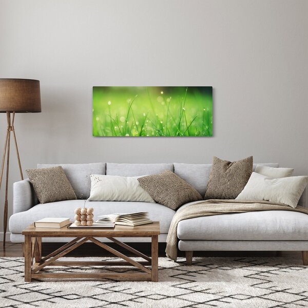 Obraz - rosa na tráve (120x50 cm)