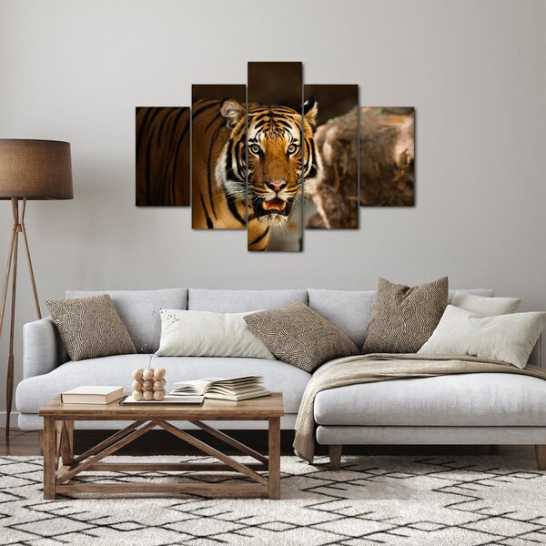 Obraz tigra (150x105 cm)