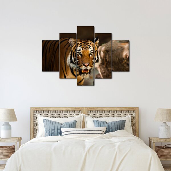 Obraz tigra (150x105 cm)