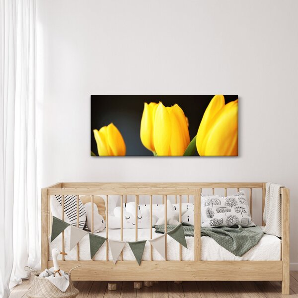 Obraz tulipánov (120x50 cm)