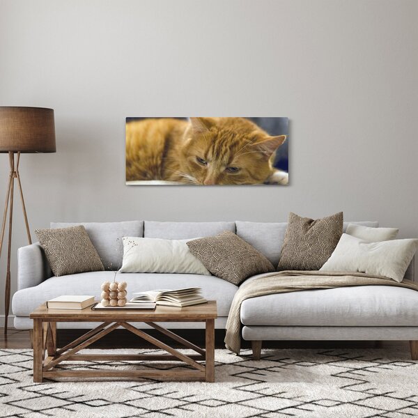 Obraz mačky (120x50 cm)