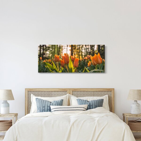 Obraz - kvety tulipánov (120x50 cm)