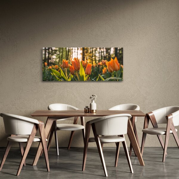 Obraz - kvety tulipánov (120x50 cm)