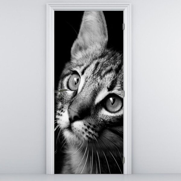 Fototapeta na dvere - Mačička (95x205cm)