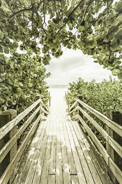 Umelecká fotografie Bridge to the beach with mangroves | Vintage, Melanie Viola, (26.7 x 40 cm)