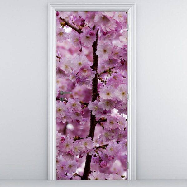 Fototapeta na dvere - kvety jablone (95x205cm)