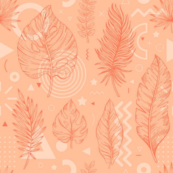 Umelecká fotografie 2024 peach palm leaf color pattern., o-che, (40 x 40 cm)