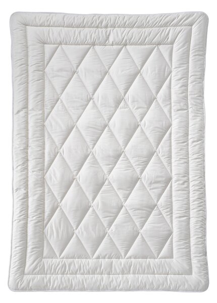 LETNÁ PRIKRÝVKA, 135/200 cm, bavlnená výplň Billerbeck - Prikrývky & vankúše, Online Only