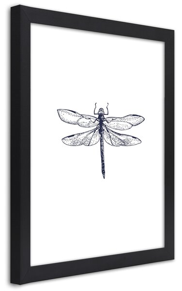 Plagát Vážka nakreslená Farba rámu: Čierna, Veľkosť: 20 x 30 cm