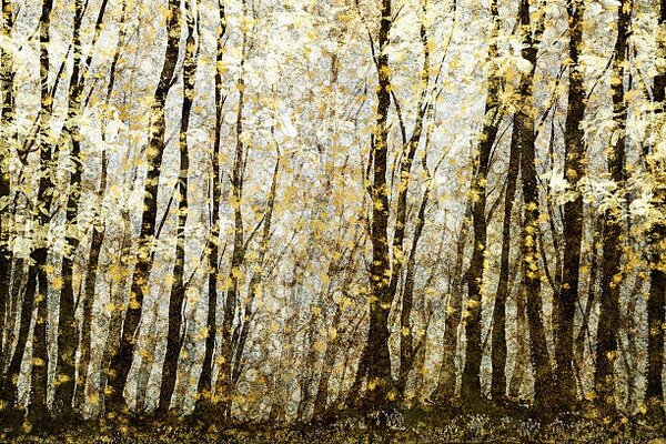 Ilustrácia Forest filed with golden autumn leaves, Andrew Bret Wallis, (40 x 26.7 cm)