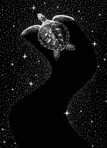 Ilustrácia Starry Turtle, Aliriza Cakir, (30 x 40 cm)