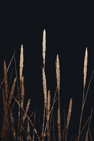 Ilustrácia Golden Fields In The Dark, Kubistika, (26.7 x 40 cm)