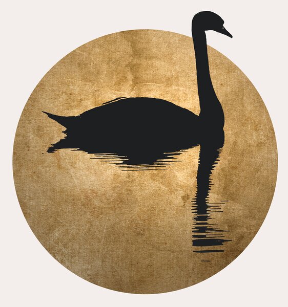 Ilustrácia The Swan, Kubistika, (26.7 x 40 cm)