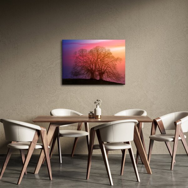 Obraz stromov v hmle (70x50 cm)