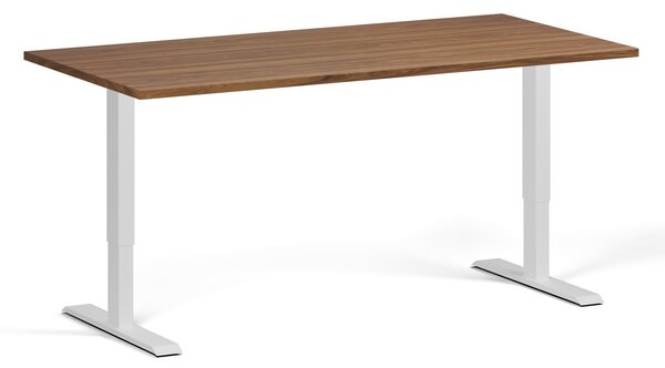 Výškovo nastaviteľný stôl, 160x80 cm, 1 motor, biela podnož, orech