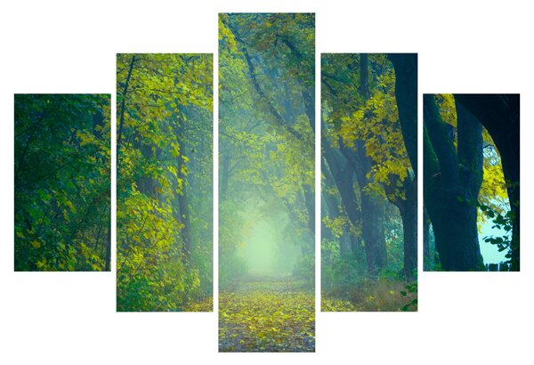 Obraz cesty lemovanej stromami (150x105 cm)