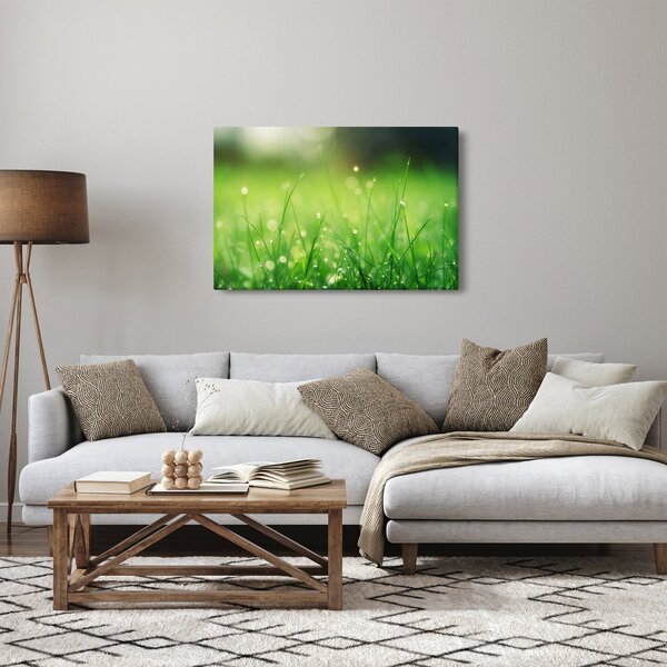 Obraz - rosa na tráve (90x60 cm)