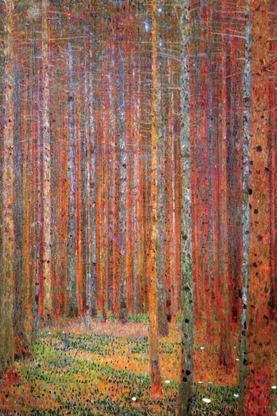 Plagát, Obraz - Jedľový les, (61 x 91.5 cm)
