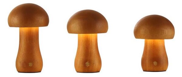 Searchlight EU34125NA - SADA 3x LED stolových lámp MUSHROOM LED/1,1W/5V