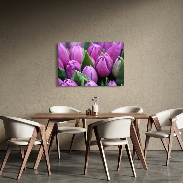 Obraz - kvety tulipánov (90x60 cm)