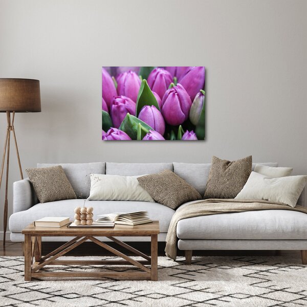 Obraz - kvety tulipánov (70x50 cm)