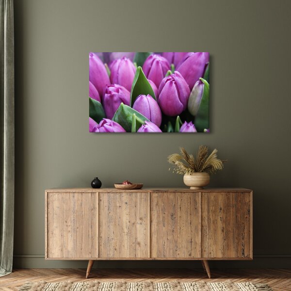 Obraz - kvety tulipánov (90x60 cm)