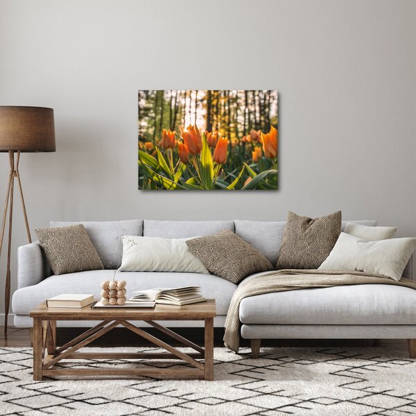 Obraz - kvety tulipánov (70x50 cm)