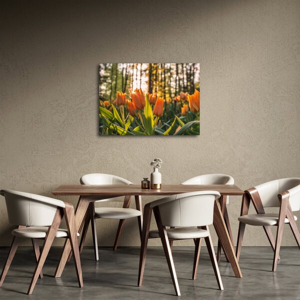 Obraz - kvety tulipánov (70x50 cm)