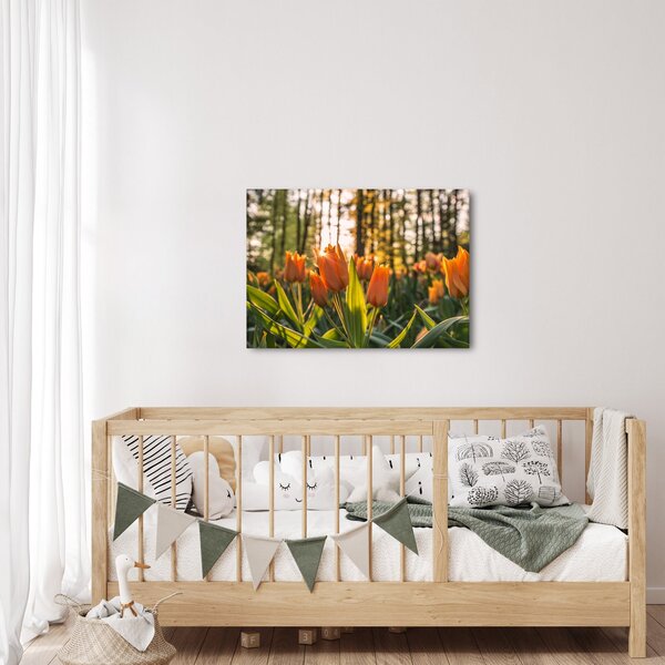 Obraz - kvety tulipánov (70x50 cm)