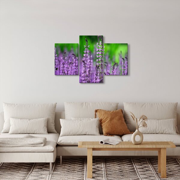 Obraz fialových lúčnych kvetov (90x60 cm)