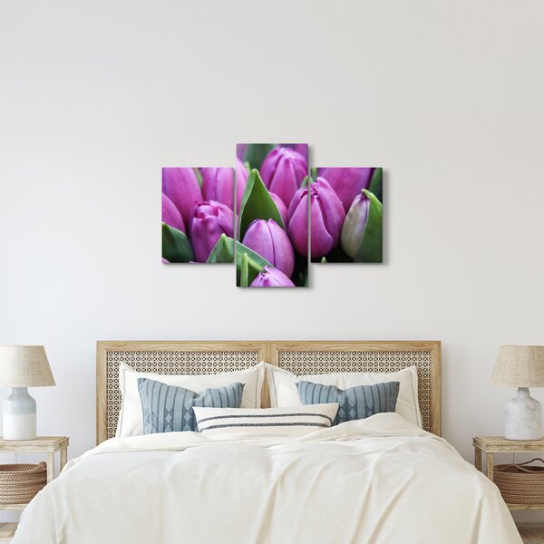Obraz - kvety tulipánov (90x60 cm)