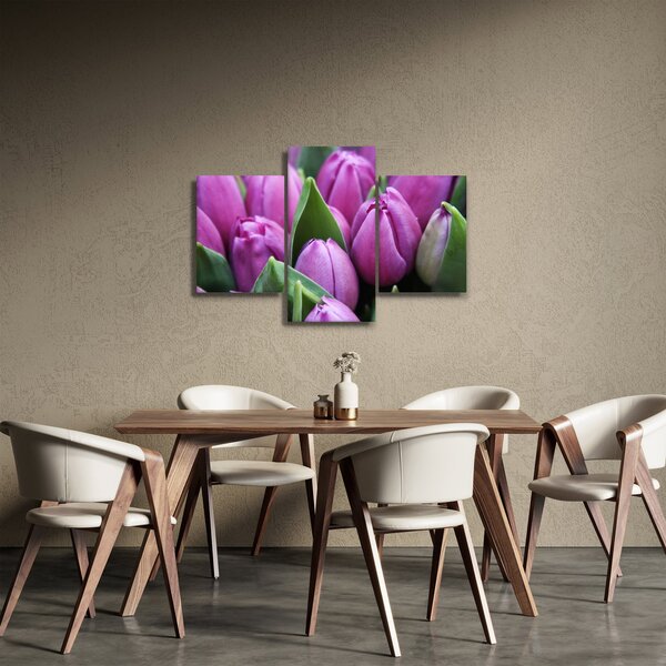 Obraz - kvety tulipánov (90x60 cm)