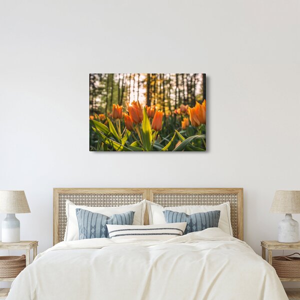 Obraz - kvety tulipánov (90x60 cm)